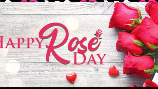 Female Version Happy Rose Day Status Video 2021
