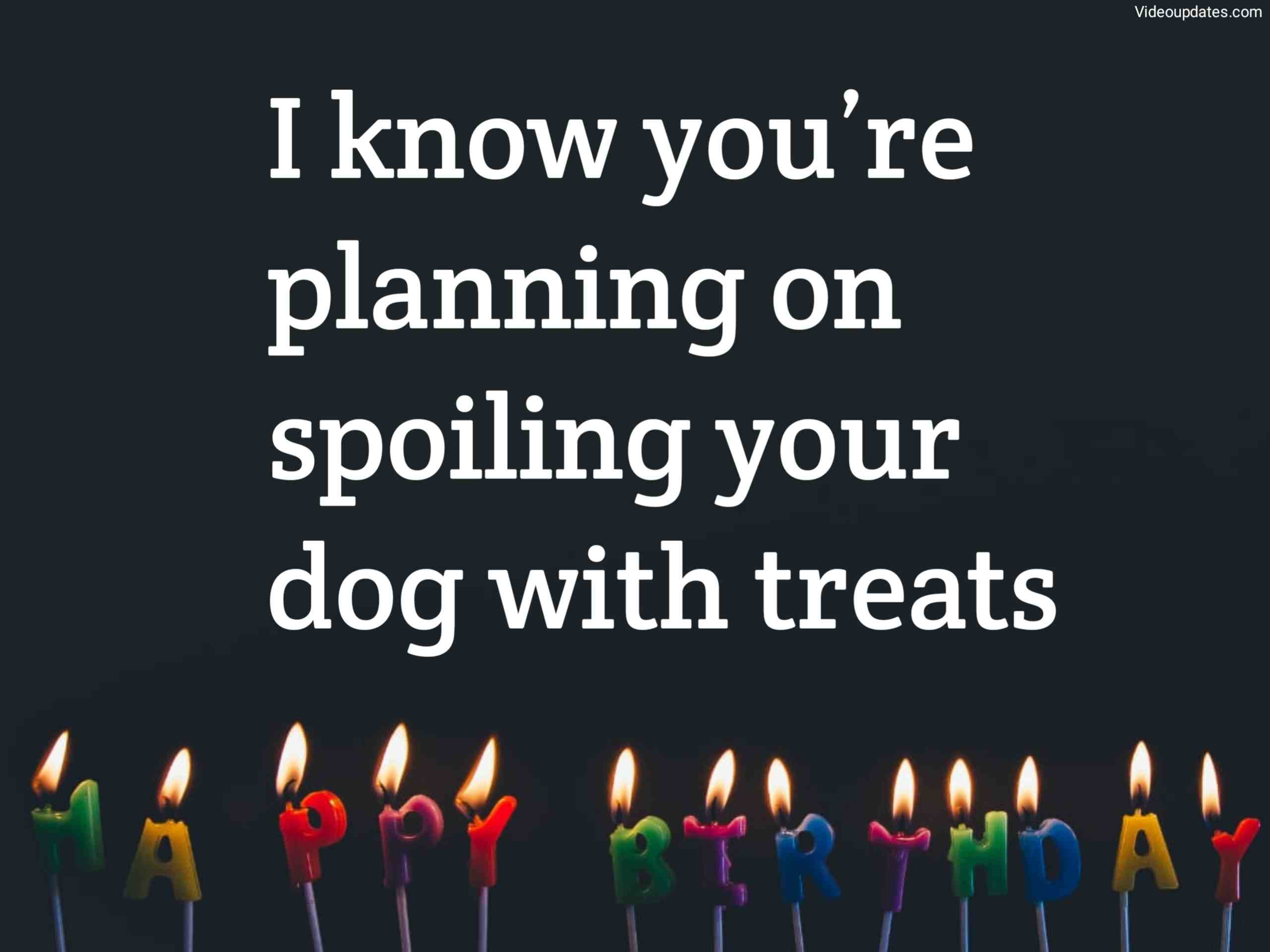 Dog Birthday Wishes